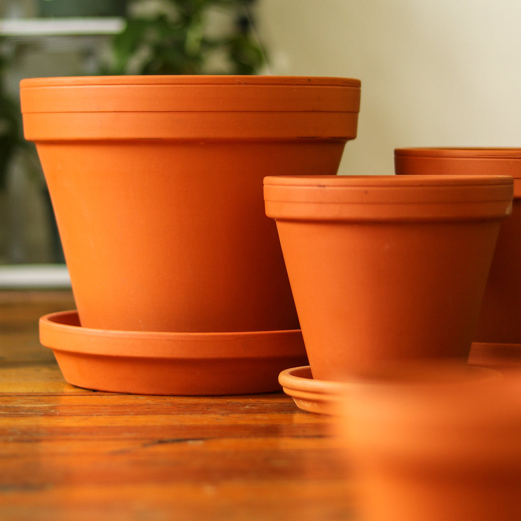 Pots, Planters & Vases - Ed's Plant Shop