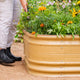 Raised Bed Gardens