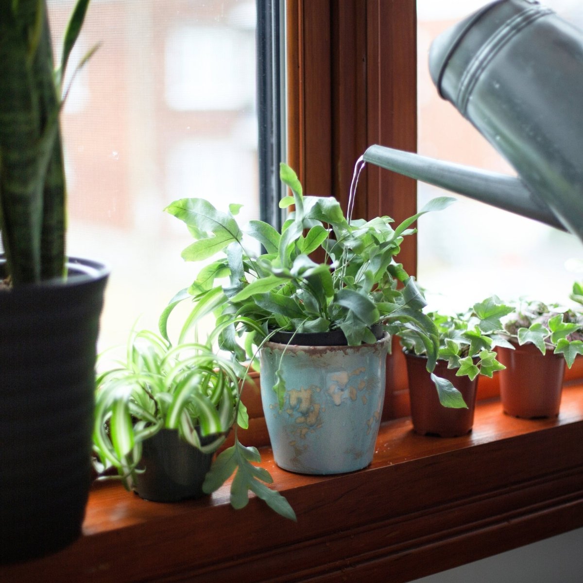amazon plant pots Square Ceramic Plant Pots for Sale main image 1