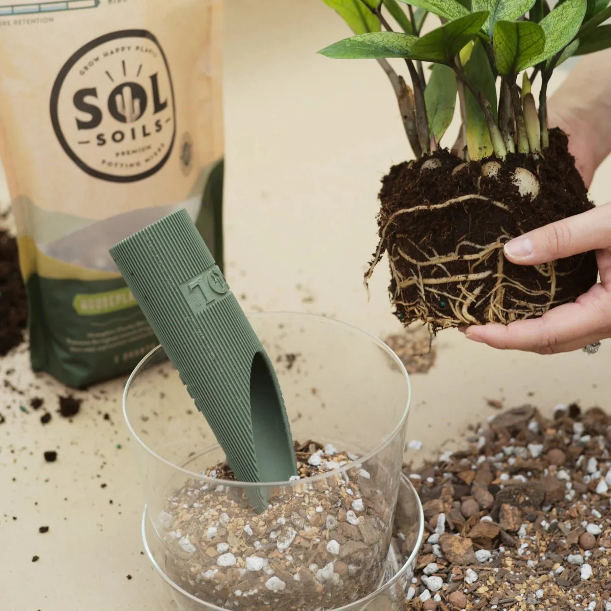 Sol Soils premium sustainable soil blends for houseplants, succulents, and orchids