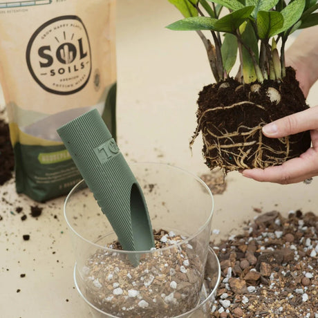 Sol Soils premium sustainable soil blends for houseplants, succulents, and orchids