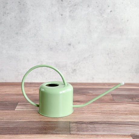 Small Classic Haws Watering Can in Blue with garden snips and soil