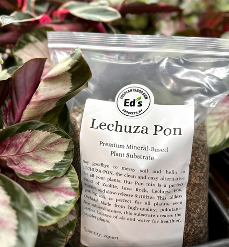 LECHUZA-PON Soilless Potting Mix 2 Quarts | Clean & Effective