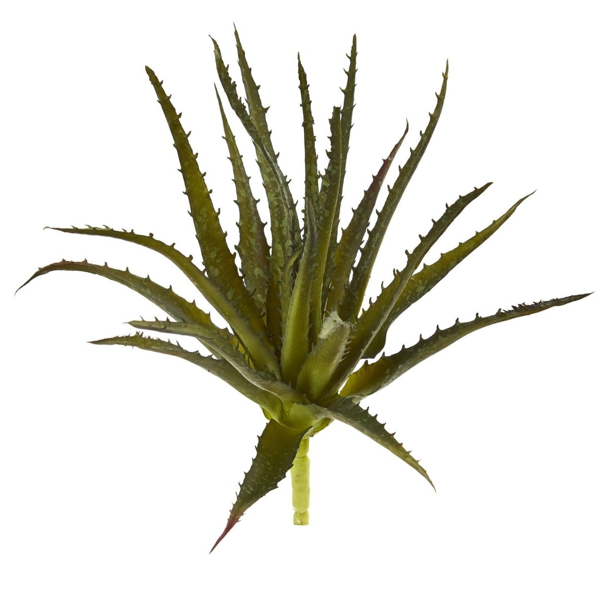 aloe vera gel shop apotheke Aloe Vera Forte Creme-Gel – Helios Apotheke