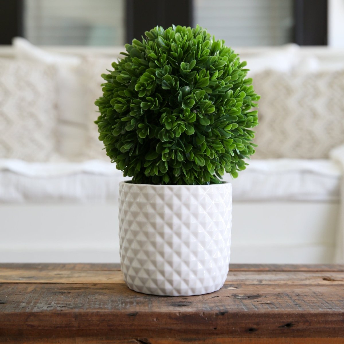 10" Artificial Boxwood Topiary Plant with Decorative Planter - Ed's Plant Shop