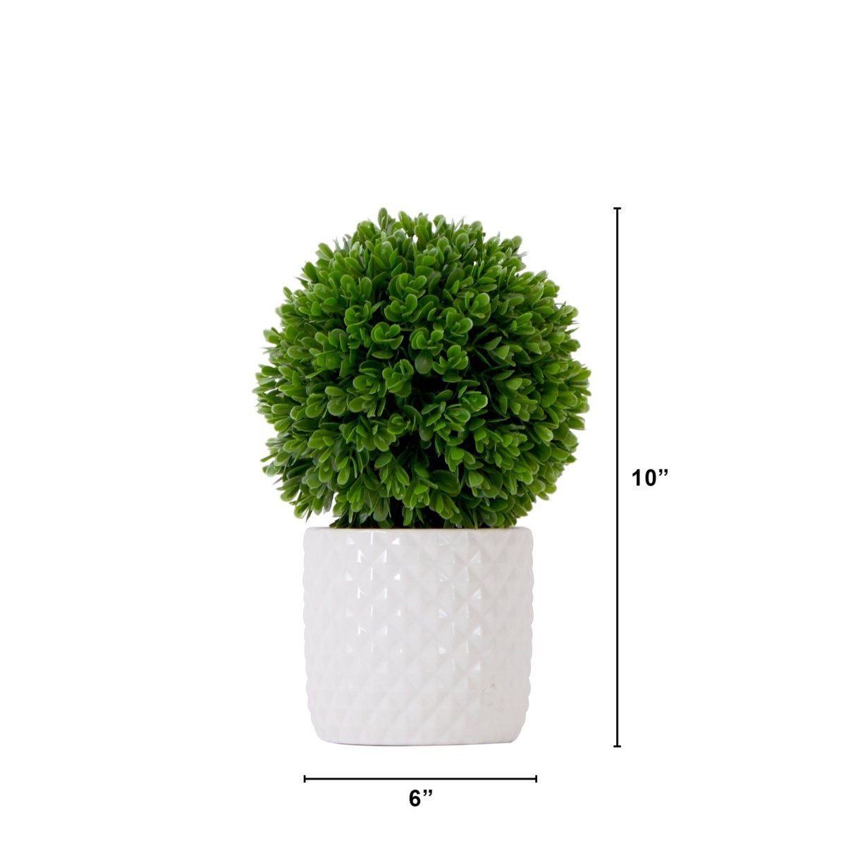 10" Artificial Boxwood Topiary Plant with Decorative Planter - Ed's Plant Shop