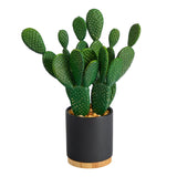 10” Artificial Cactus Succulent Plant in Planter | Desert-Inspired Decor