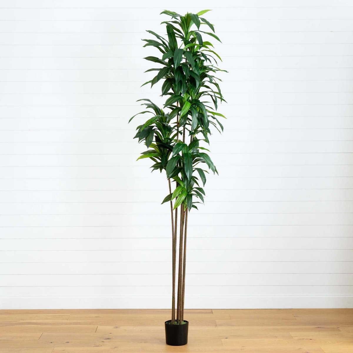 10’ Artificial Dracaena Tree with Real Touch Leaves - Ed's Plant Shop