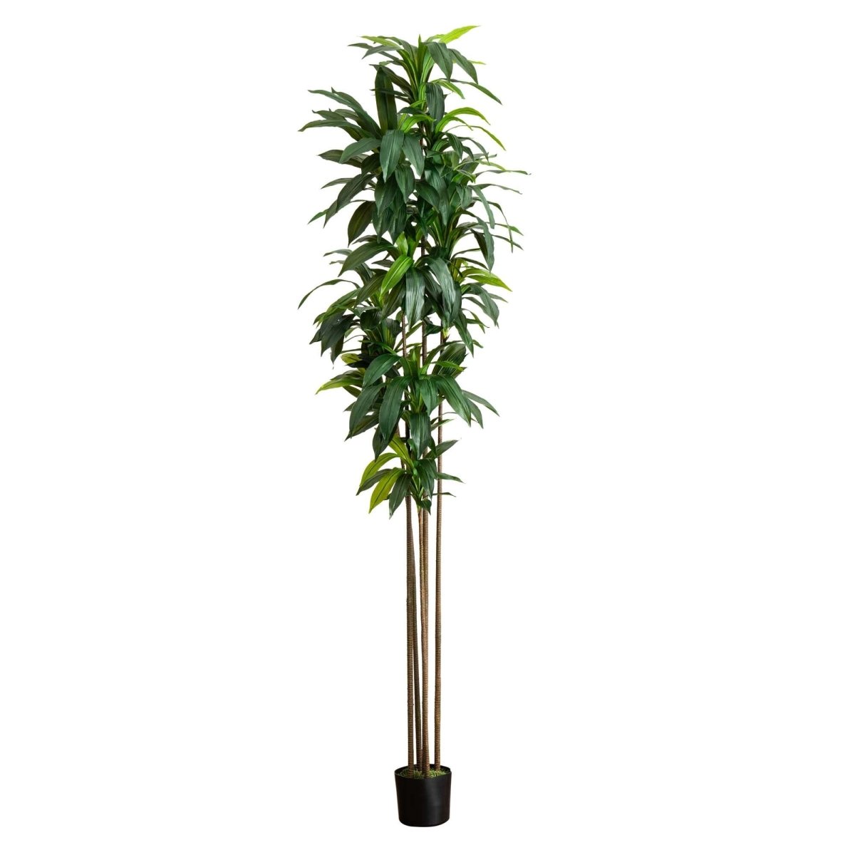 10’ Artificial Dracaena Tree with Real Touch Leaves - Ed's Plant Shop