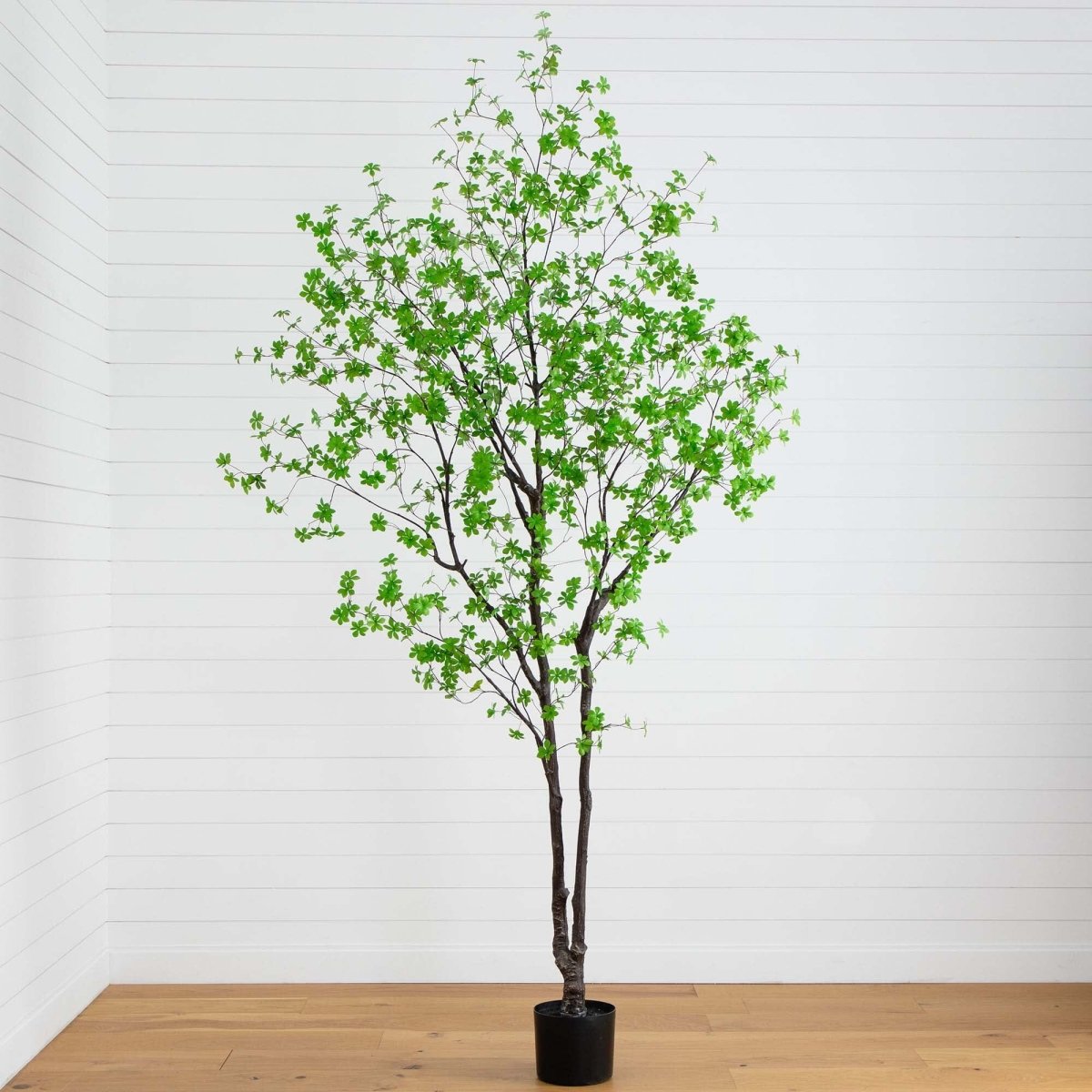 10’ Artificial Minimalist Enkianthus Tree - Ed's Plant Shop