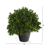 10” Boxwood Topiary Artificial Plant UV Resistant (Indoor/Outdoor) - Ed's Plant Shop