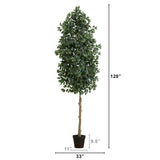 10' Faux Ficus Tree | Lifelike Indoor Tree – Ed's Plant Shop - Ed's Plant Shop