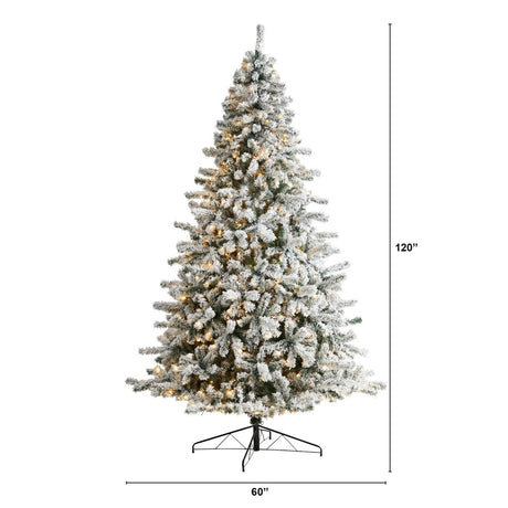 10' Flocked Rock Springs Spruce Christmas Tree with 800 LED Lights - Ed's Plant Shop