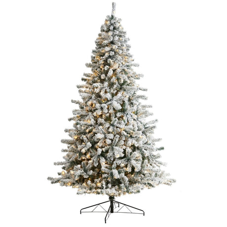 10' Flocked Rock Springs Spruce Christmas Tree with 800 LED Lights - Ed's Plant Shop