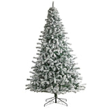 10' Flocked Rock Springs Spruce Christmas Tree with 800 LED Lights - Ed's Plant Shop