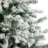 10' Flocked Rock Springs Spruce Christmas Tree with 800 LED Lights - Ed's Plant Shop