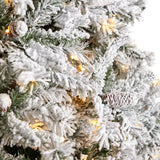 10' Flocked White River Mountain Pine Christmas Tree with Pinecones and 800 Clear LED Lights - Ed's Plant Shop