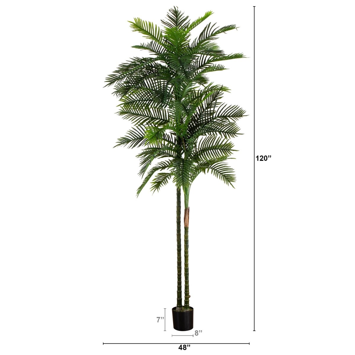10 - ft UV Resistant Artificial Double Robellini Palm Tree (Indoor/Outdoor) - Ed's Plant Shop