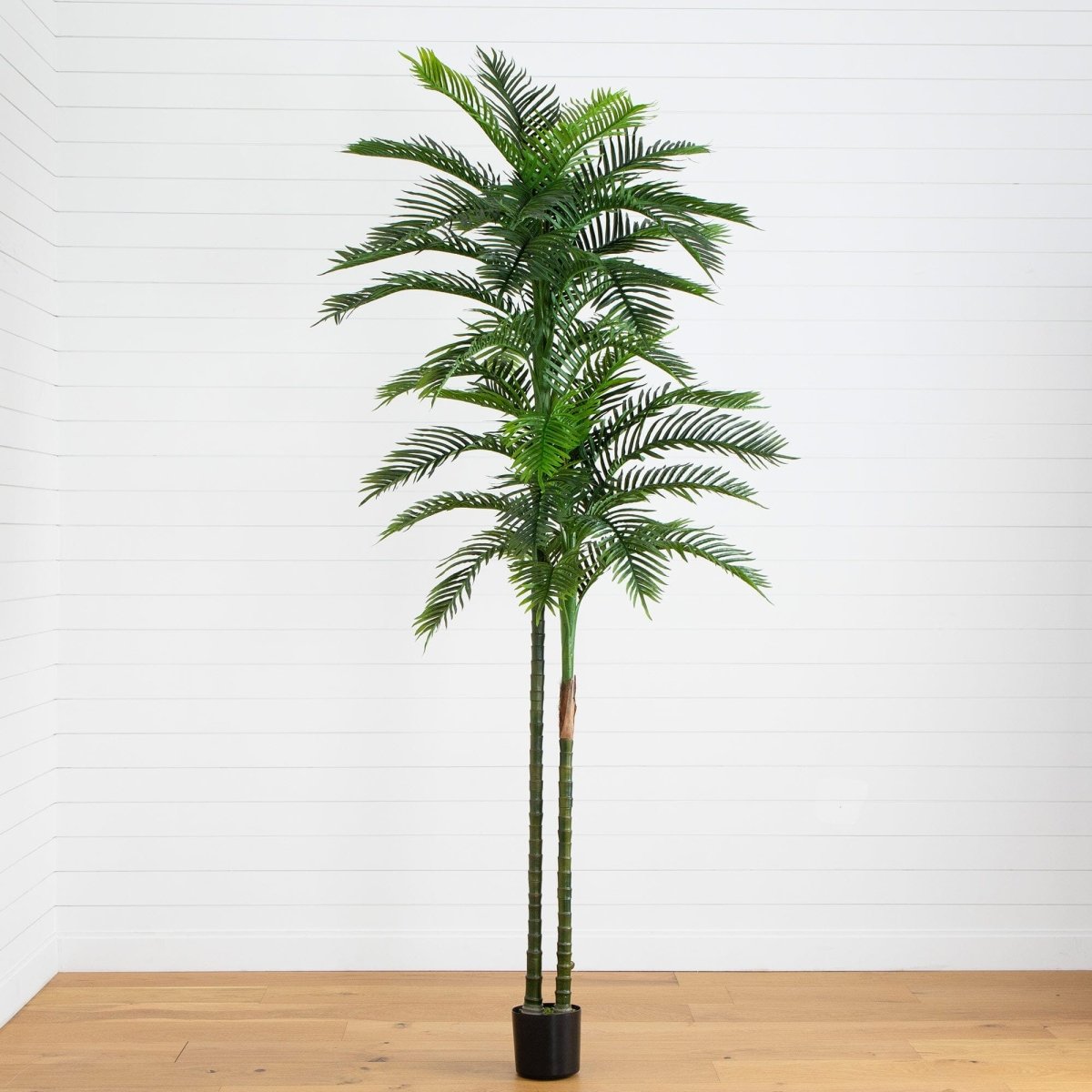 10 - ft UV Resistant Artificial Double Robellini Palm Tree (Indoor/Outdoor) - Ed's Plant Shop