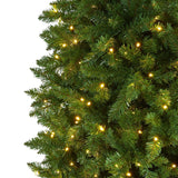 10’ Slim Green Mountain Pine Artificial Christmas Tree with 800 Clear LED Lights - Ed's Plant Shop