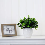 11” Artificial Boxwood Plant | Decorative Planter Accent - Ed's Plant Shop