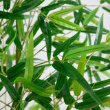 12' Artificial Bamboo Tree | Japanese - Inspired Tall Decor - Ed's Plant Shop