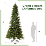 12' Belgium Fir Artificial Christmas Tree with 1500 LED Lights & 4962 Branches - Ed's Plant Shop