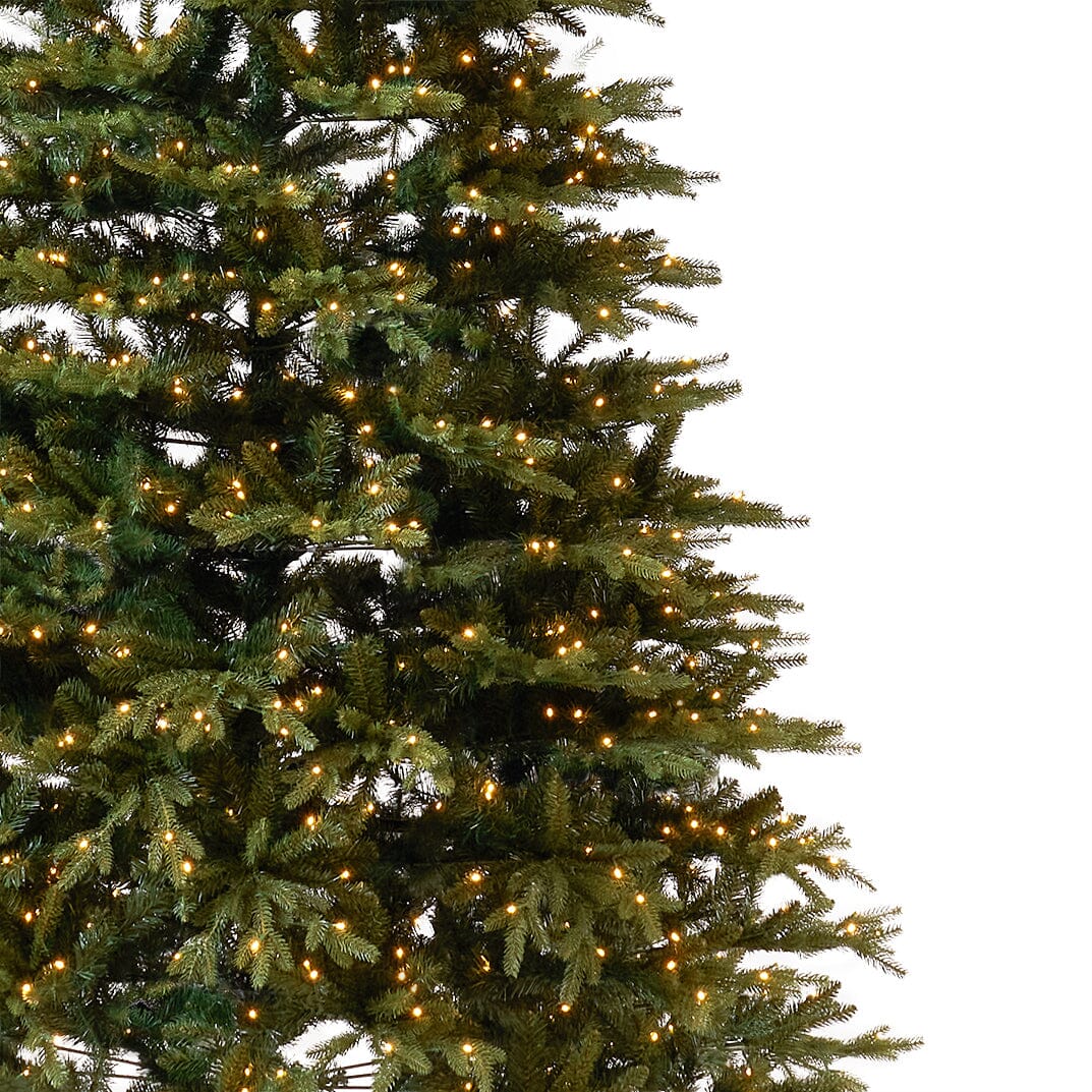 12' Belgium Fir Artificial Christmas Tree with 1500 LED Lights & 4962 Branches - Ed's Plant Shop