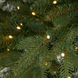 12' Belgium Fir Artificial Christmas Tree with 1500 LED Lights & 4962 Branches - Ed's Plant Shop