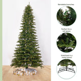 12' Belgium Fir Artificial Christmas Tree with 1500 LED Lights & 4962 Branches - Ed's Plant Shop