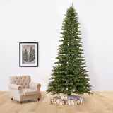 12' Belgium Fir Artificial Christmas Tree with 1500 LED Lights & 4962 Branches - Ed's Plant Shop