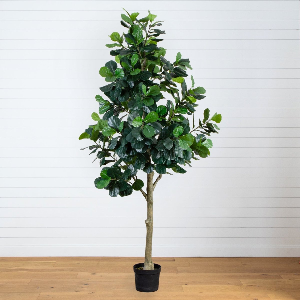 13' Faux Fiddle Leaf Fig Tree | Lifelike Indoor Tree - Ed's Plant Shop