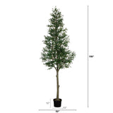 13’ Giant Artificial Olive Tree - Ed's Plant Shop