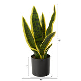 14 - in Variegated Sansevieria Artificial Snake Plant in Nursery Planter - Ed's Plant Shop