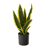 14 - in Variegated Sansevieria Artificial Snake Plant in Nursery Planter - Ed's Plant Shop