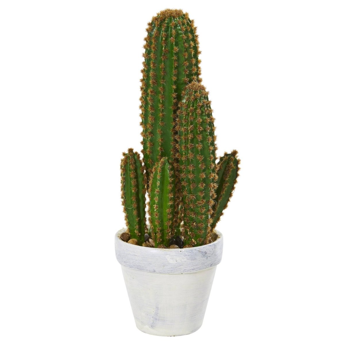 1.5’ Cactus Succulent Artificial Plant - Ed's Plant Shop