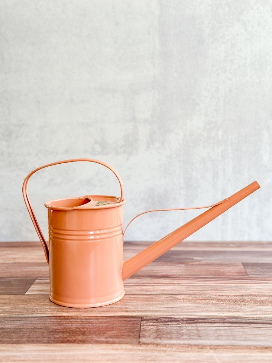 1.5 Liter - PLINT Watering Can With Long Reach Spout - Ed's Plant Shop