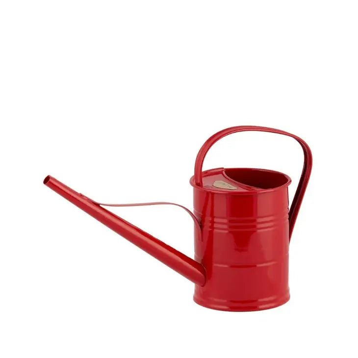 1.5 Liter - PLINT Watering Can With Long Reach Spout - Ed's Plant Shop