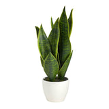 16” Faux Snake Plant – Realistic Sansevieria in White Planter - Ed's Plant Shop