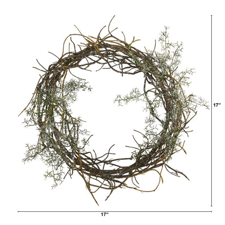 17” Frosted Twig Wreath | Seasonal Winter Décor - Ed's Plant Shop