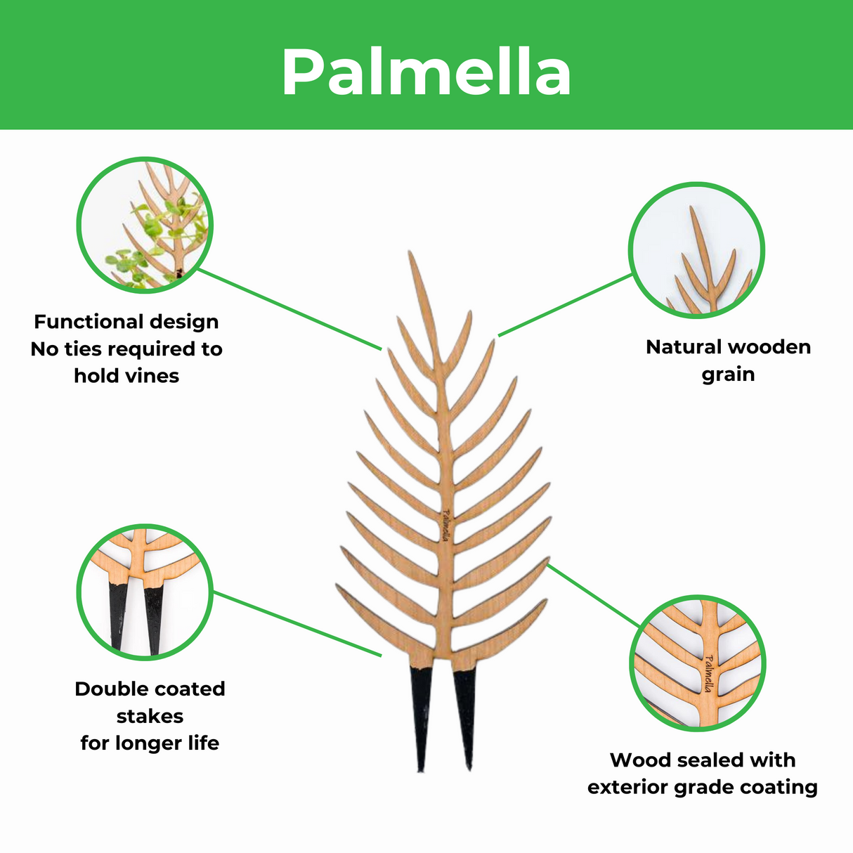 Palmella - Plant Support & Trellis