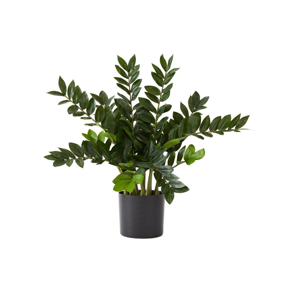 decorate a potted zz plant Nearly Natural 28 in. Artificial Zamioculcas Plant with Decorative Planter