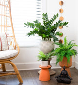 artificial zz plant Nearly Natural 28 in. Artificial Zamioculcas Plant with Decorative Planter