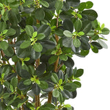3 - ft Artificial Panda Ficus Tree – Lifelike Faux Floor Plant with Textured Trunk - Ed's Plant Shop