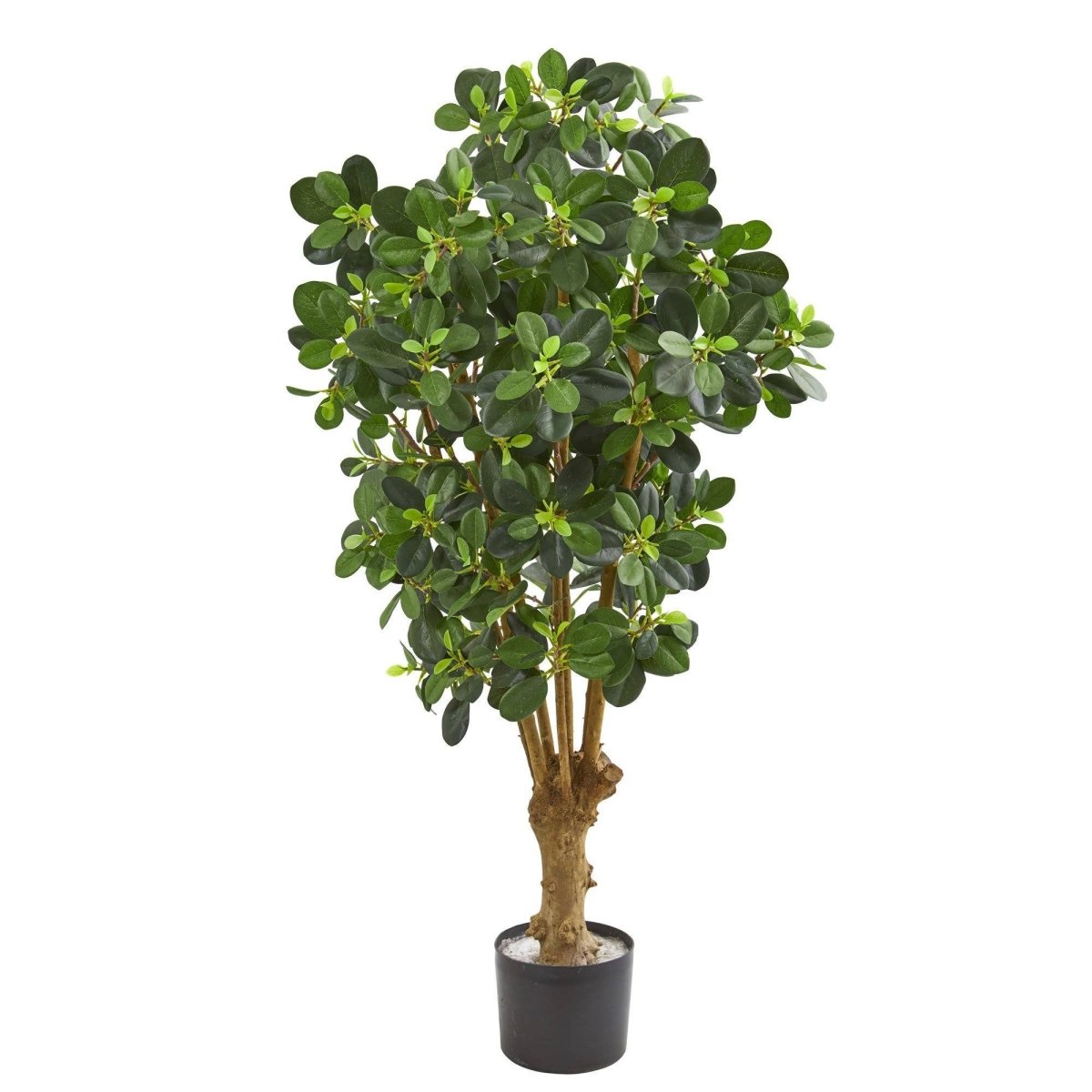 3 - ft Artificial Panda Ficus Tree – Lifelike Faux Floor Plant with Textured Trunk - Ed's Plant Shop