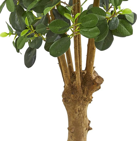 3 - ft Artificial Panda Ficus Tree – Lifelike Faux Floor Plant with Textured Trunk - Ed's Plant Shop