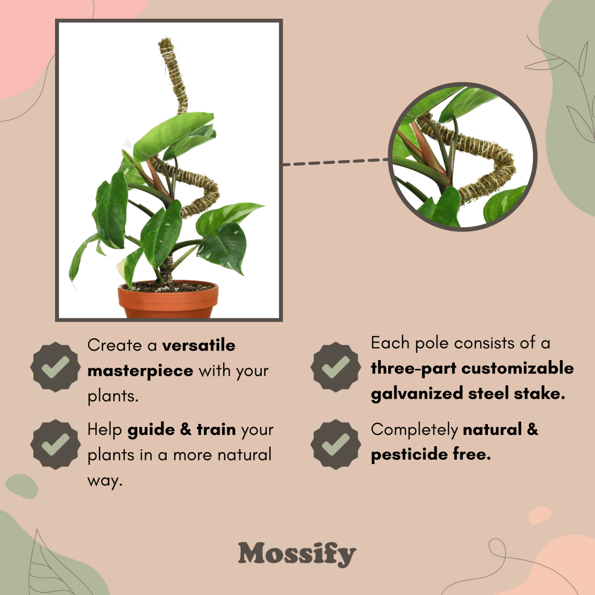Advertisement for Mossify plant support system with text and close-up of plant stake.