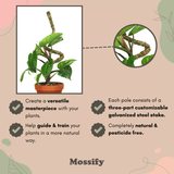 Advertisement for Mossify plant support system with text and close-up of plant stake.