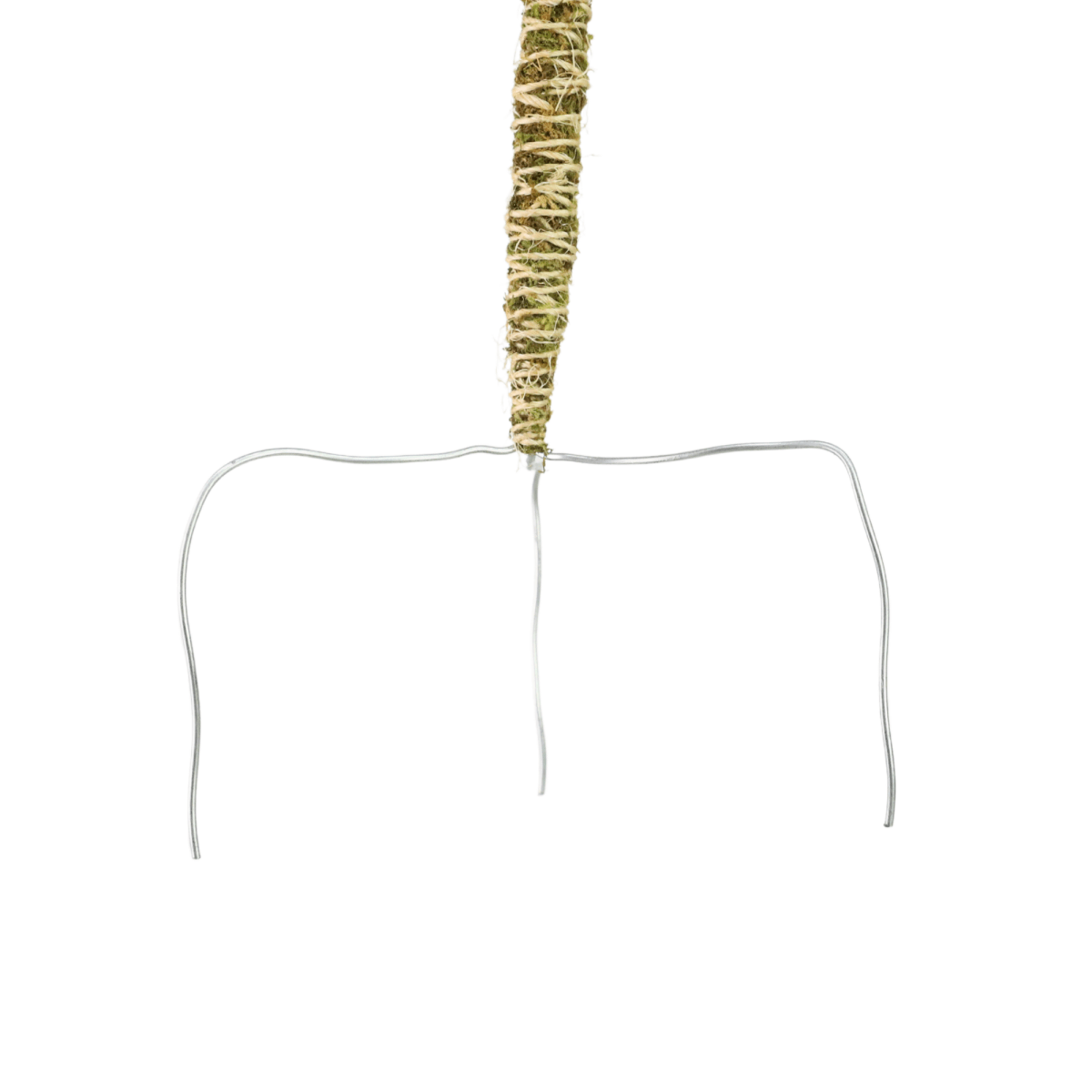 Decorative plant stand with a textured green top on a white background