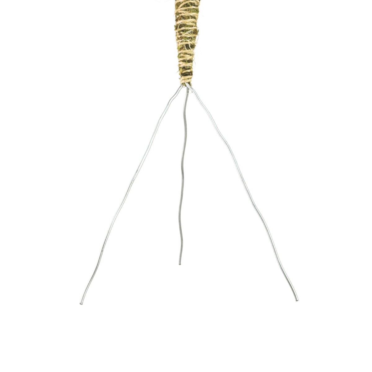 3 Pack Bendable Moss Pole™ THIN – Flexible Plant Support for Smaller Pots & Delicate Climbers - Ed's Plant Shop